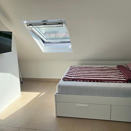 1 Zimmerwohnung In Koblenz Koblenz  Dış mekan fotoğraf